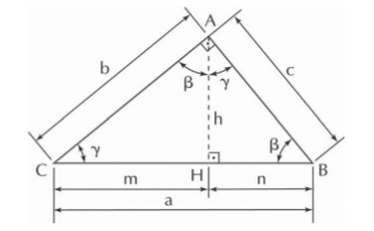 Relações Métricas do Triângulo Retângulo: Triângulo de Referência
